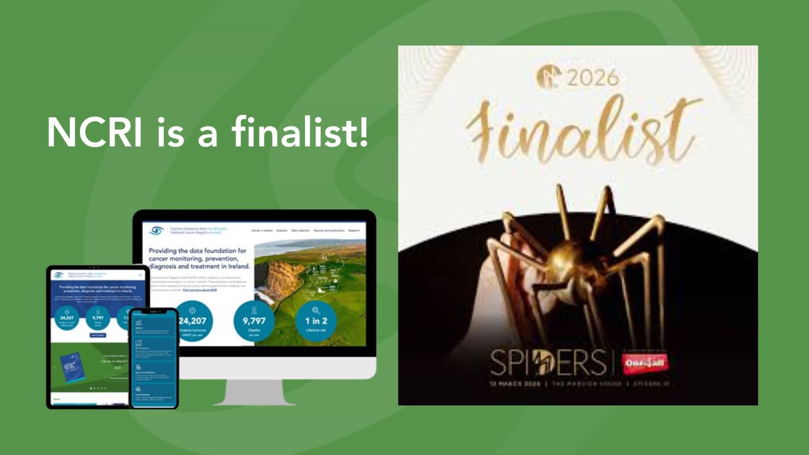 Spider Awards nomination